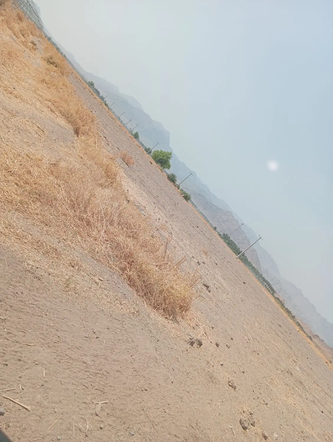 اجاره زمین کشاورزی در زیری 1هکتارو ربع