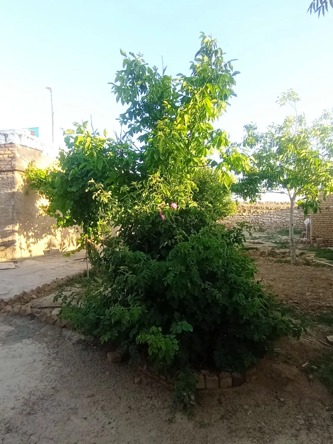 خانه ویلایی حاشیه جاده سنتو