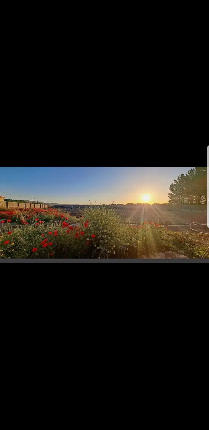 زمین نوکان خیابان اندیشمند