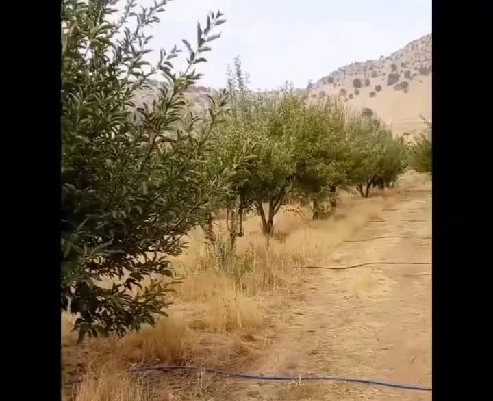 فروش باغ وخونه باغ