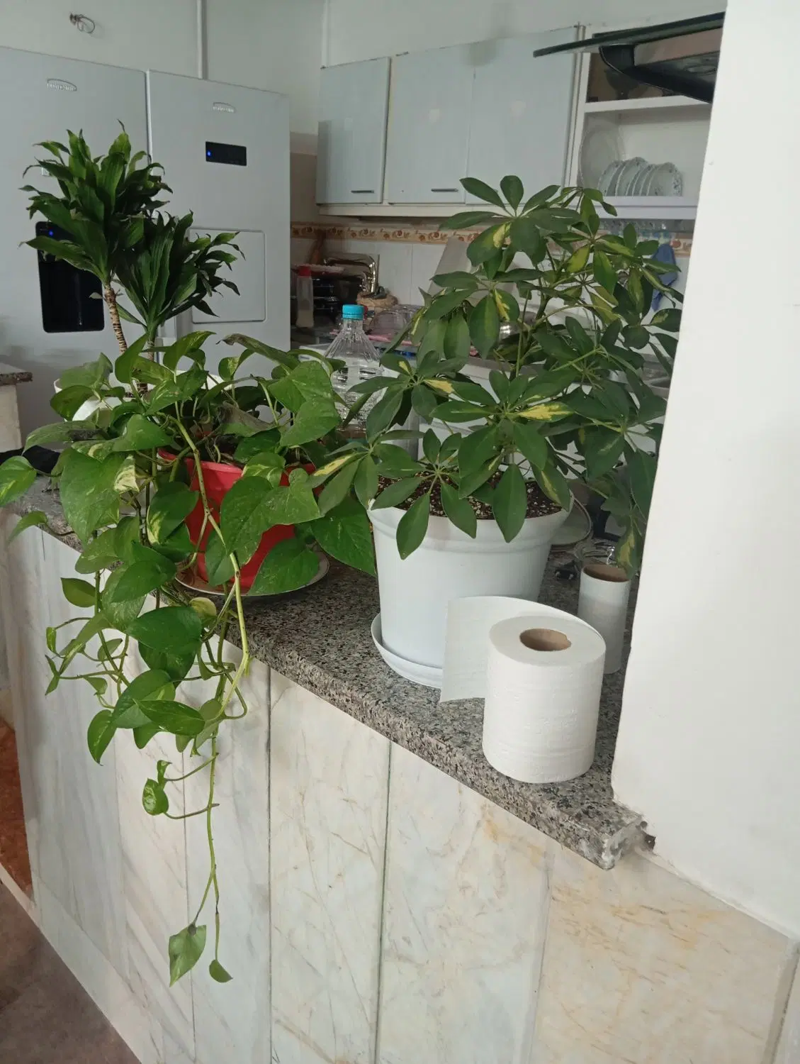طبقه همکف باپارکینگ