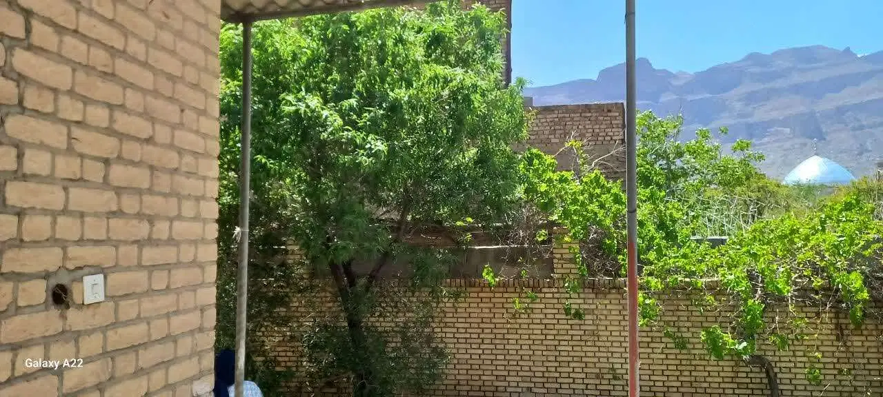 باغ اسلامیه