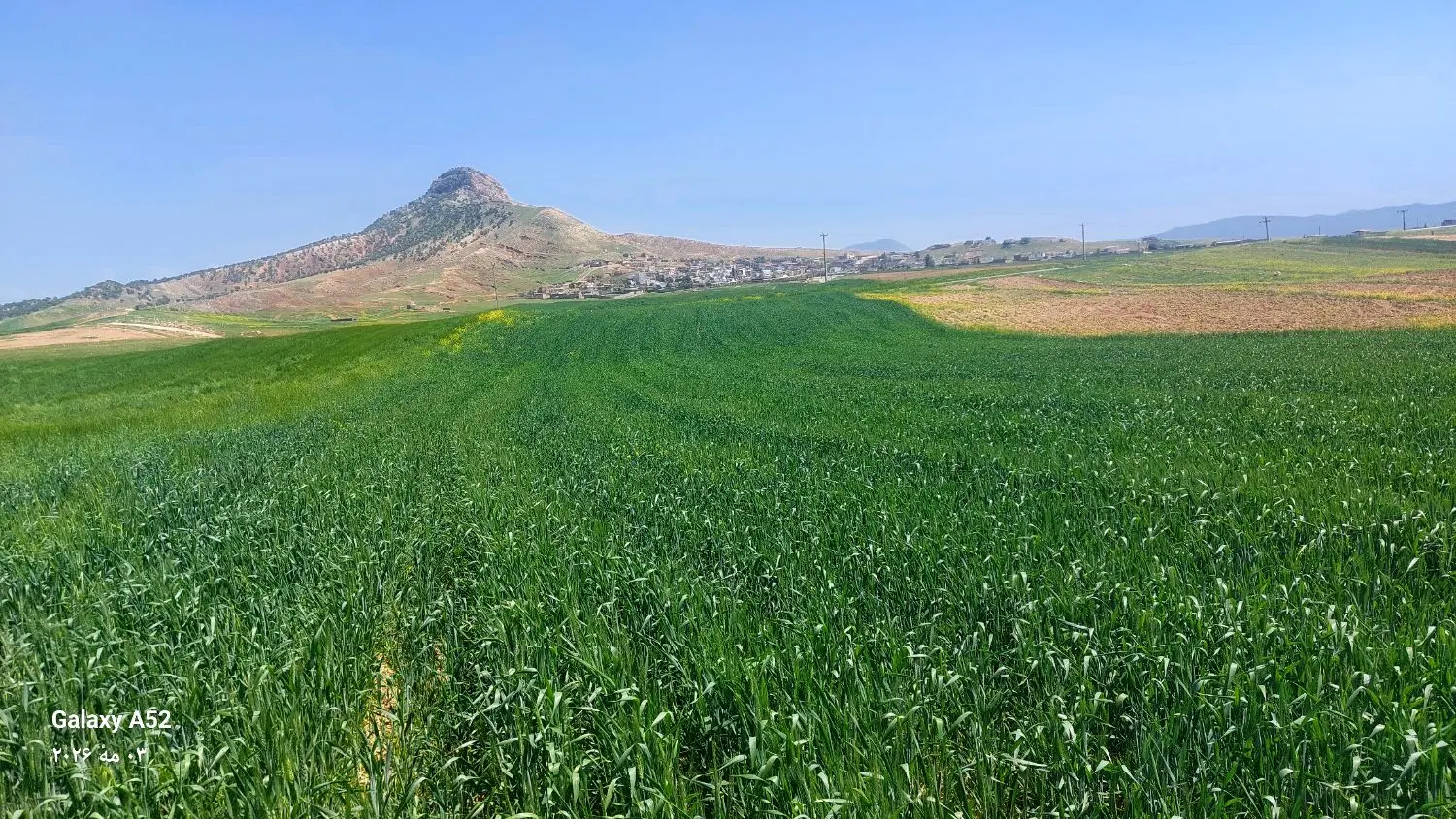 اجاره زمین کشاورزی