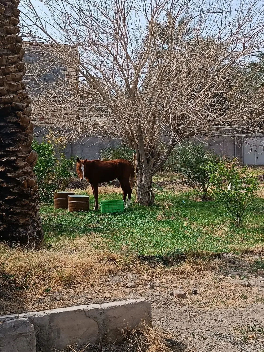 زمین خیابان فردوسی