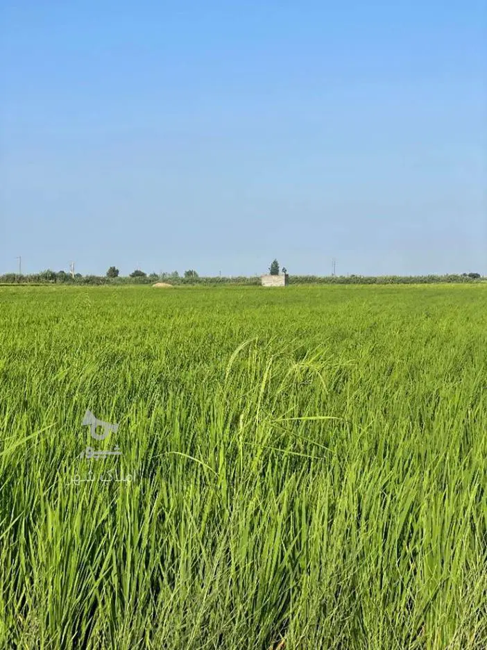 زمین باغی دو هزار متری