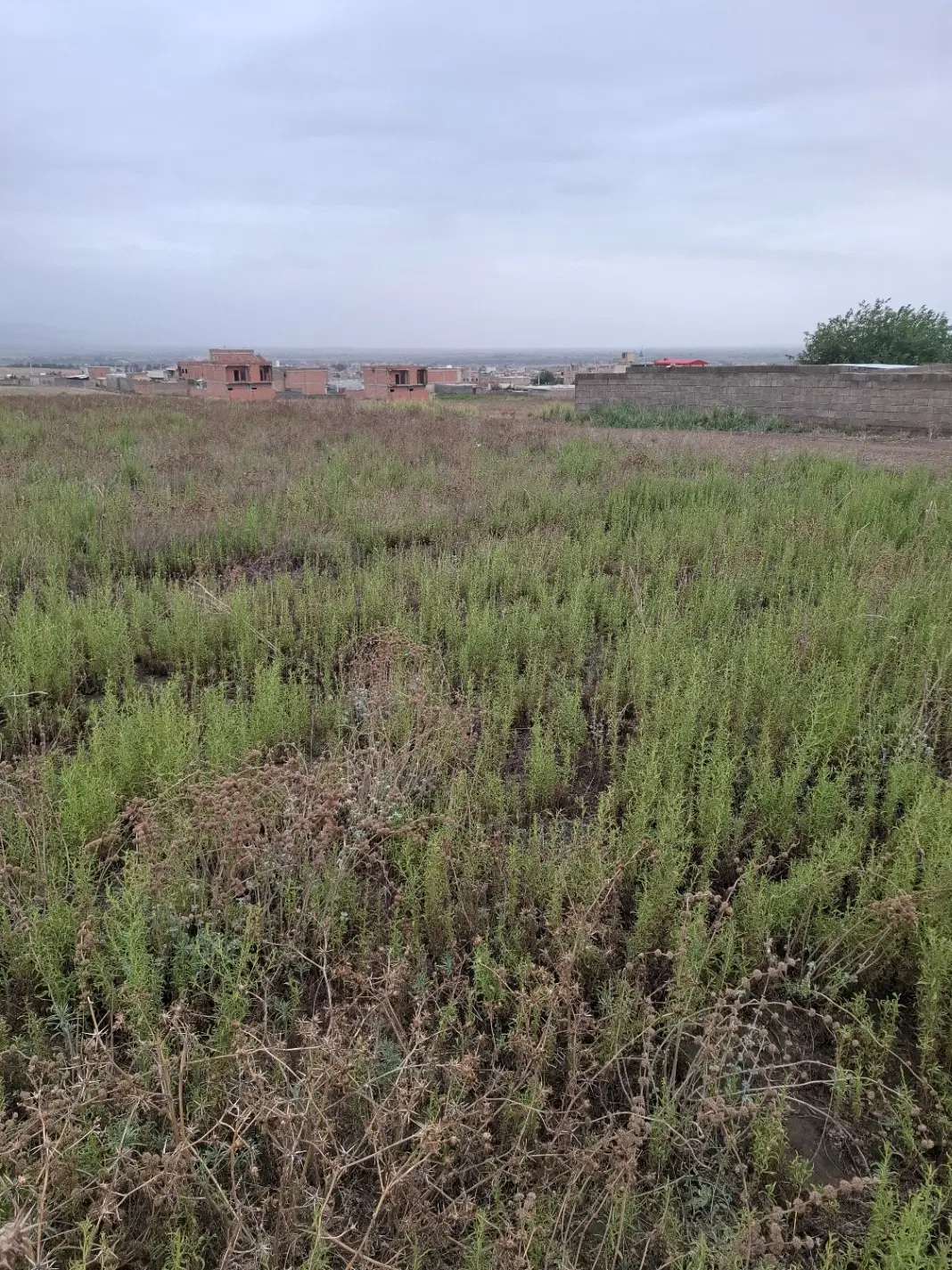 زمین فروشی