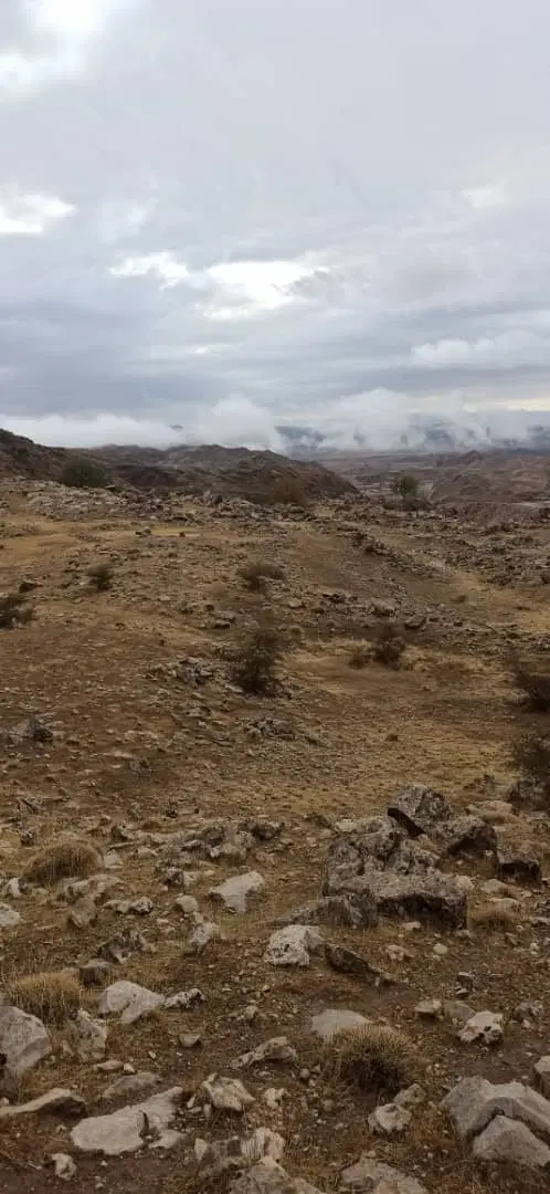 زمین شهرک وحدت دهلران