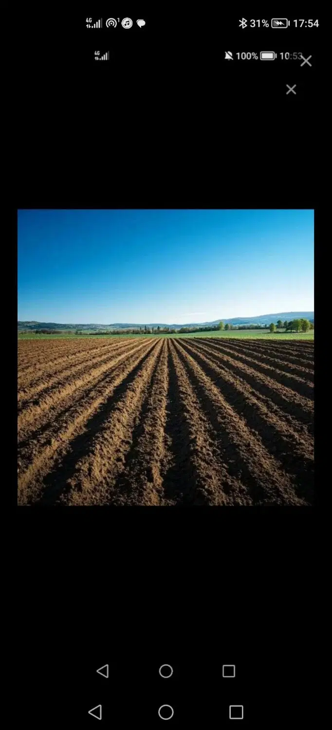 زمین کشاورزی دهباقر