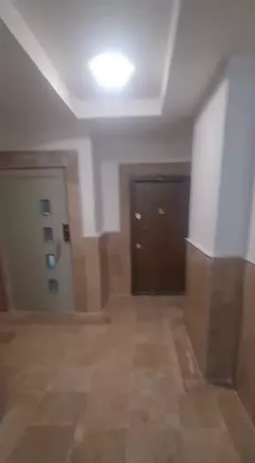 زیتون ۱۷ هکتاری _ کلید نخورده _ خوش نقشه _