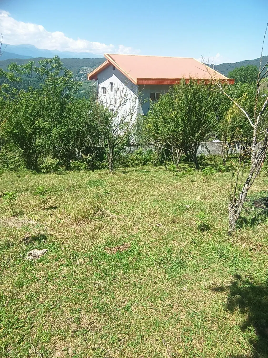 1240 متر زمین با سند تکبرگ پروانه ساخت روستای اتو