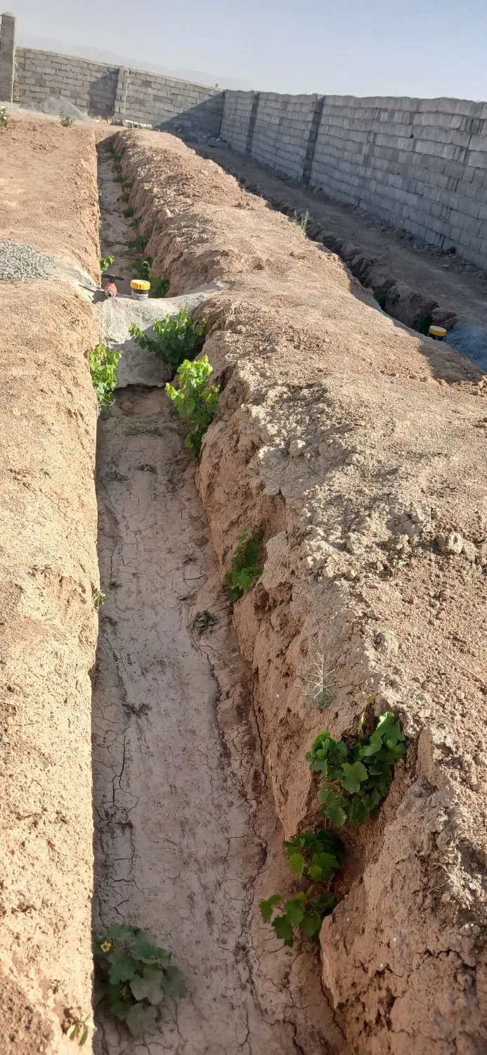 زمین باغی