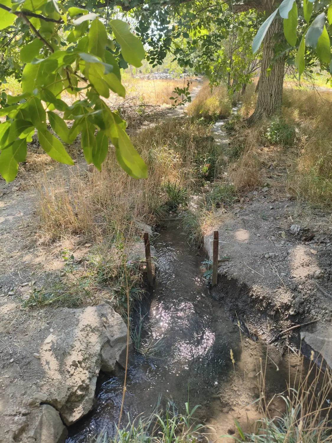 خانه باغ برق اتاق آب(دستجرد)