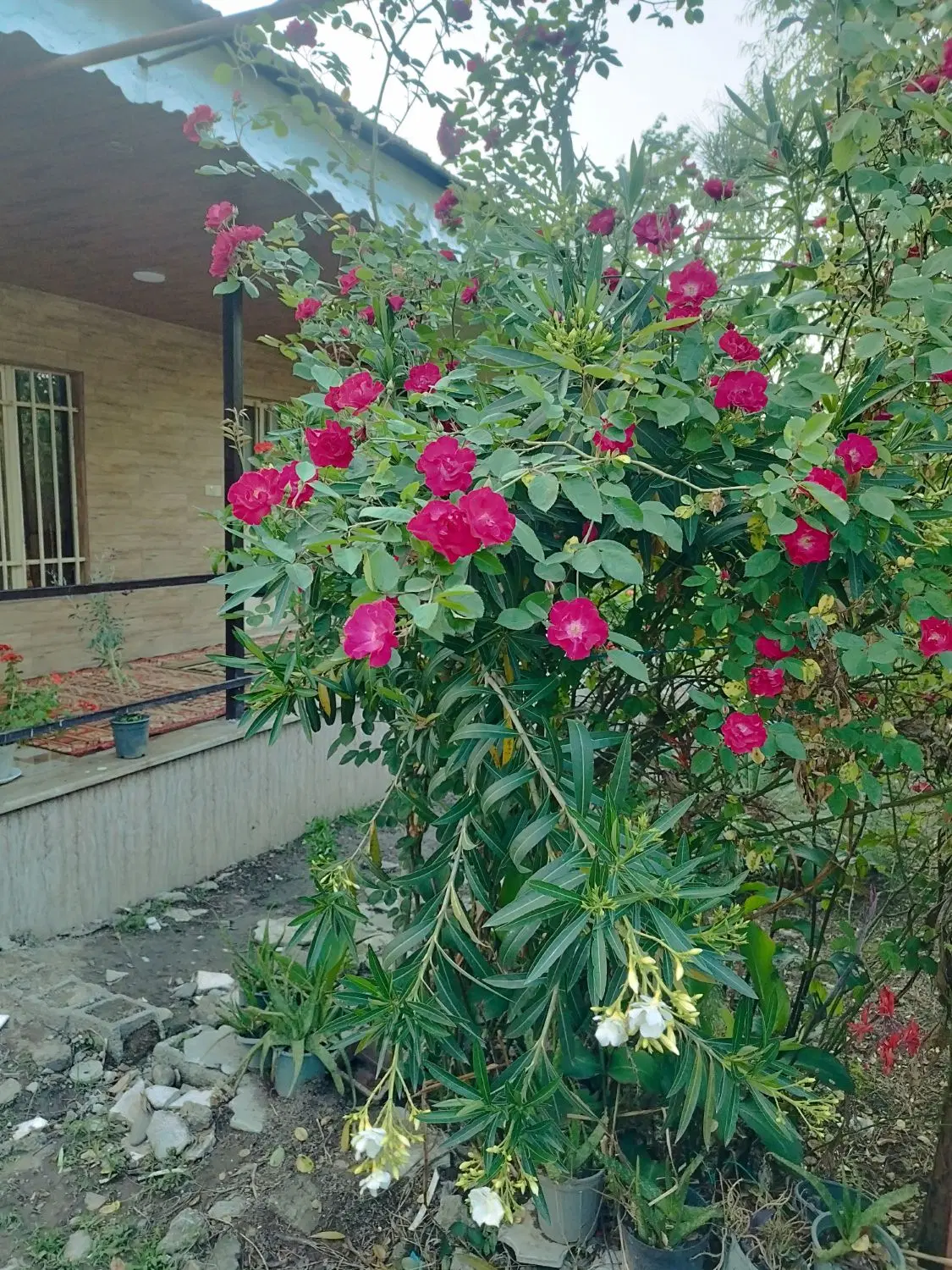 یک واحد ویلای واقع در جاده جیرده دارای آب برق