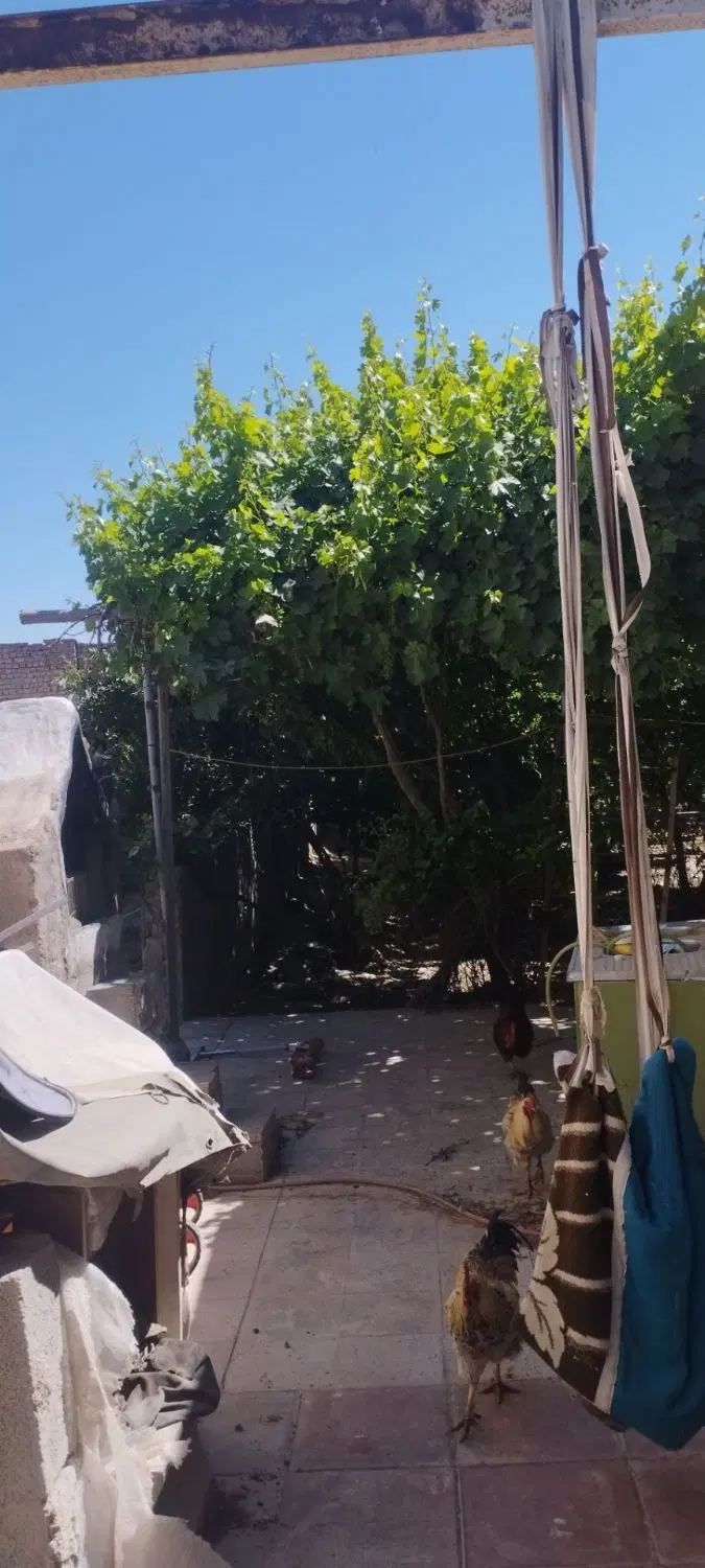 باغچه ۴۷۶ متری روستای ایجدانک ورامین