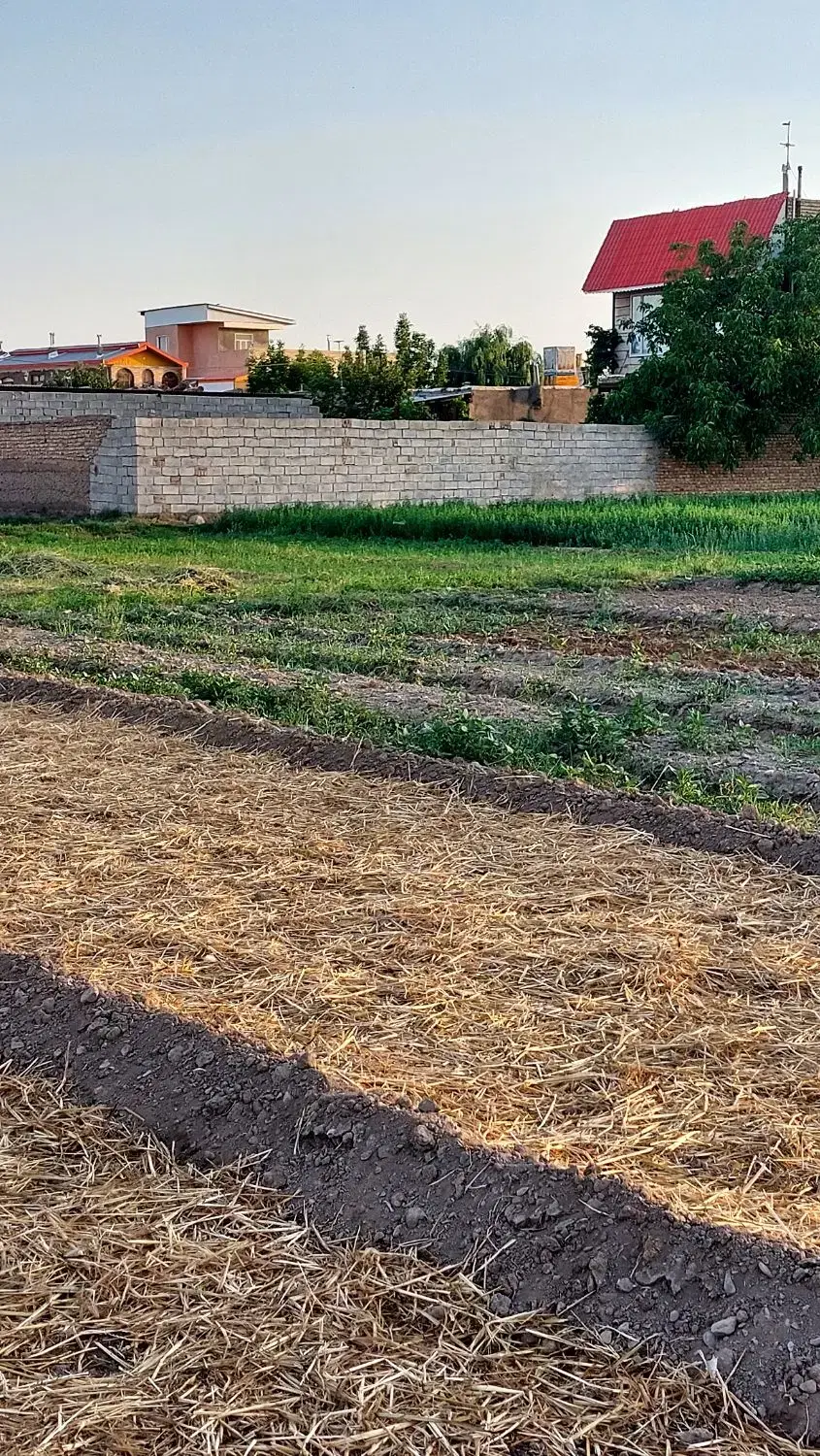 زمین با سند تکبرگ دو کله و با سه ممر