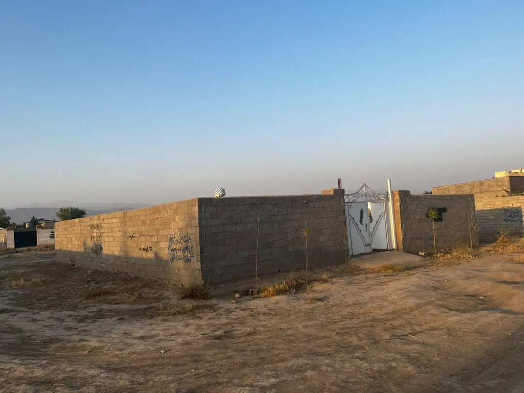 یک قطعه زمین ۴ دیواری با درخت
