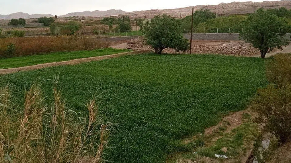 زمین فروشی