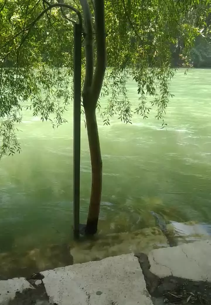 باغ ویلا
