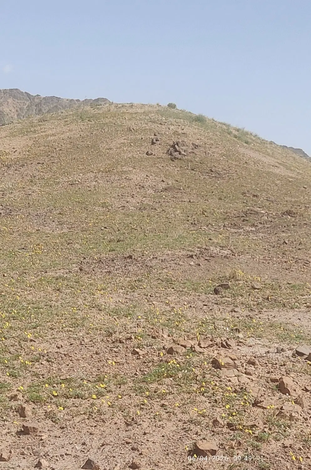 زمین شکرآب