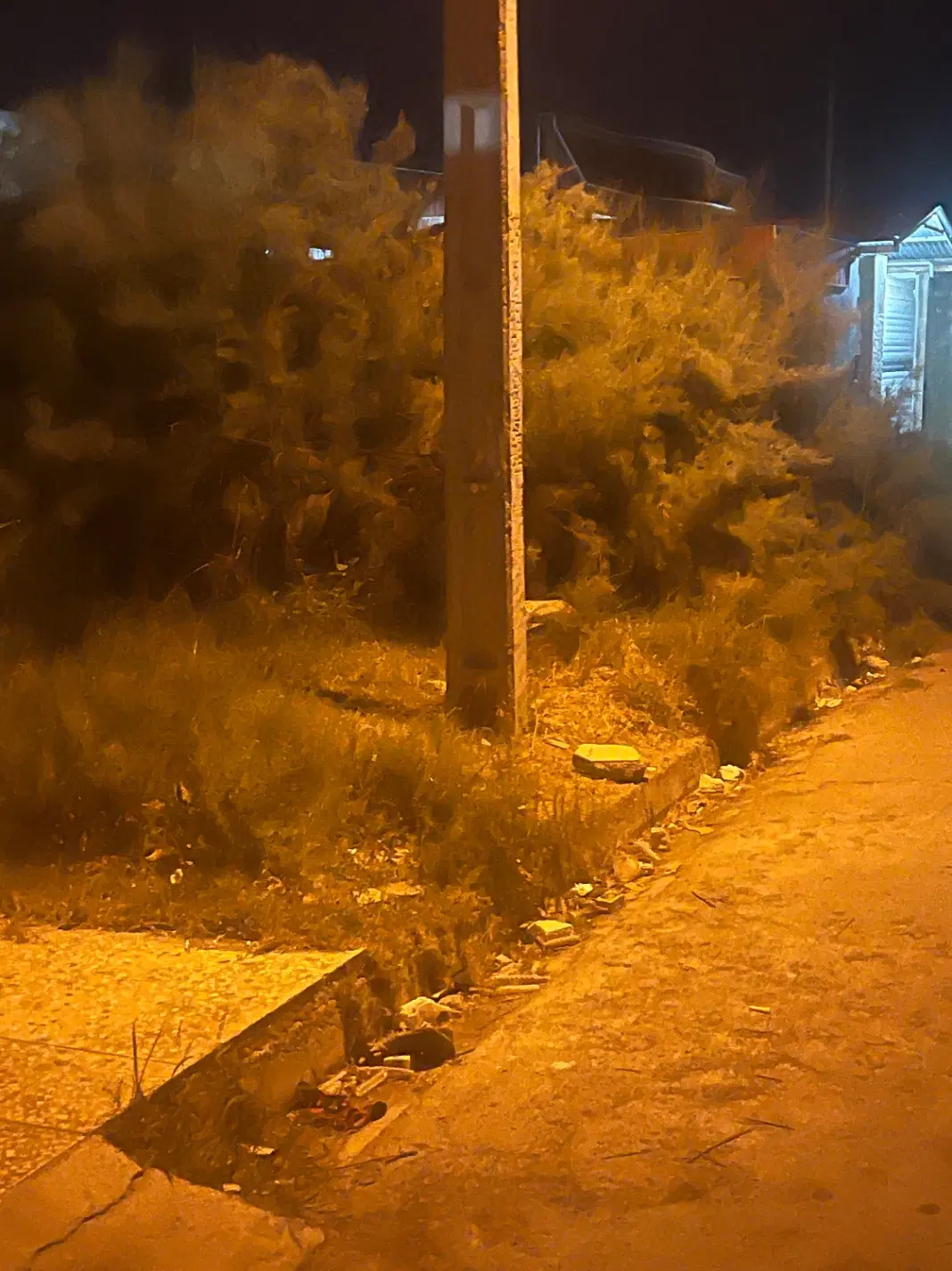 زمین مسکونی