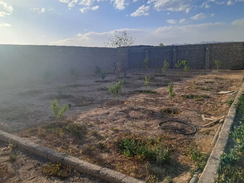 ۸۰۰ متر سند دار گل مینا
