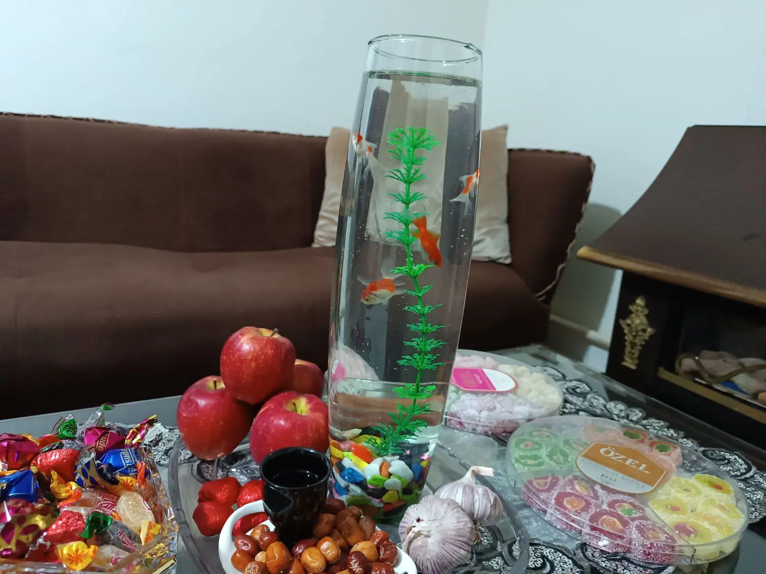 همخانه می‌پذیرم