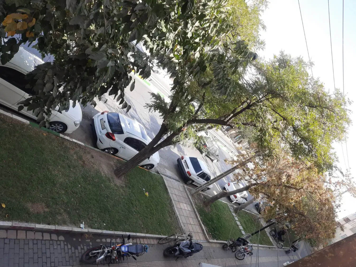 رهن کامل زیرزمین با۱۲۰ متر