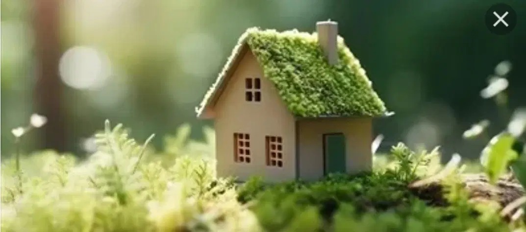 زمین مسکونی