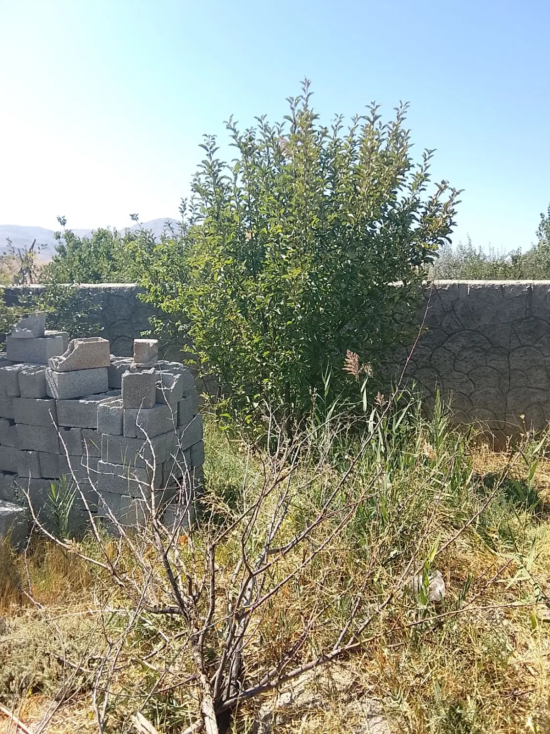 باغ روستای زین آباد 750مترآب برق درختان بزرگ