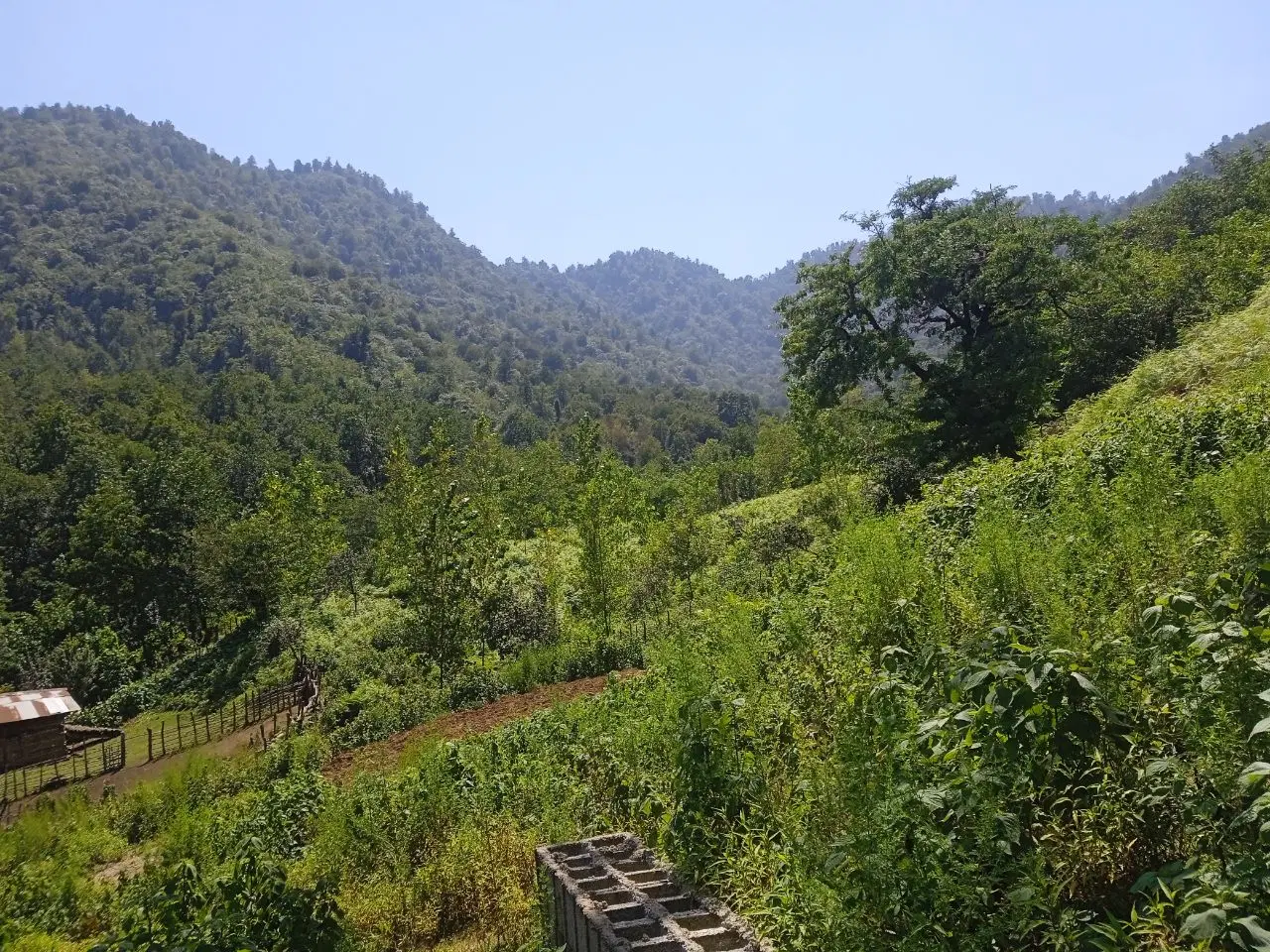 زمین دوکله ویلایی