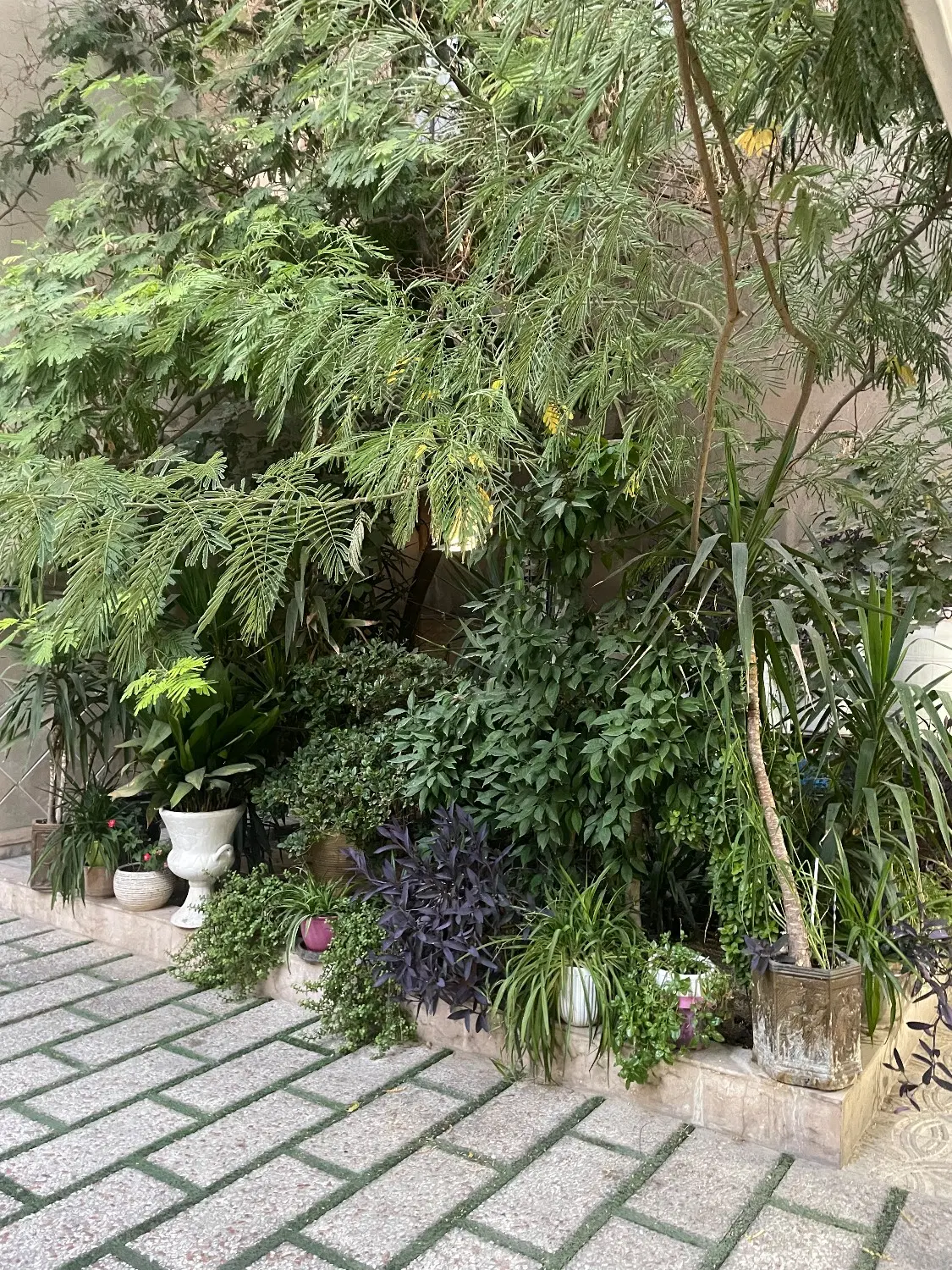 اجاره ۱۱۵متری،طبقه اول،فول