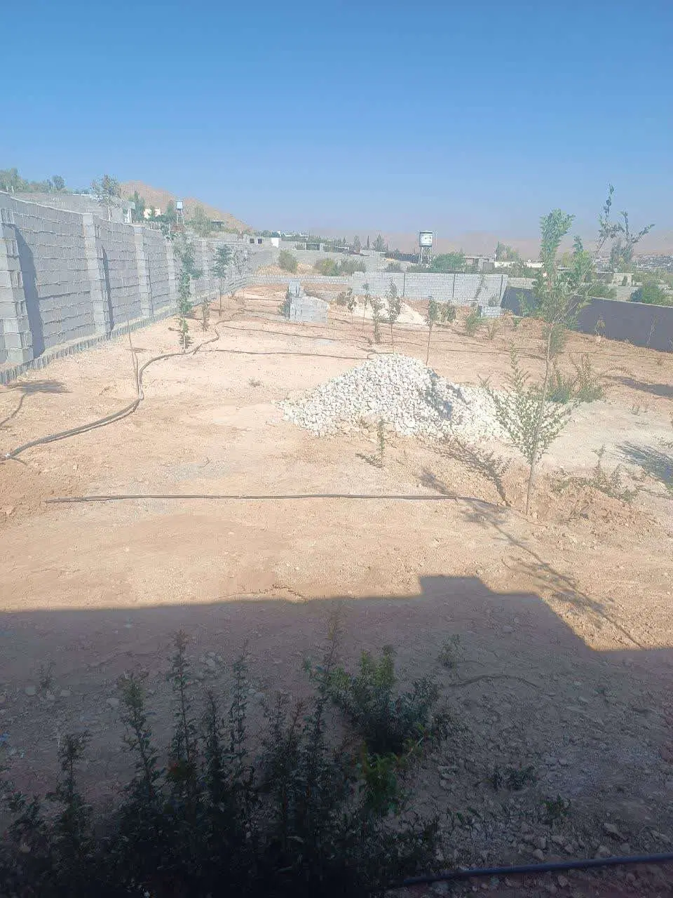 باغ 1000 متری