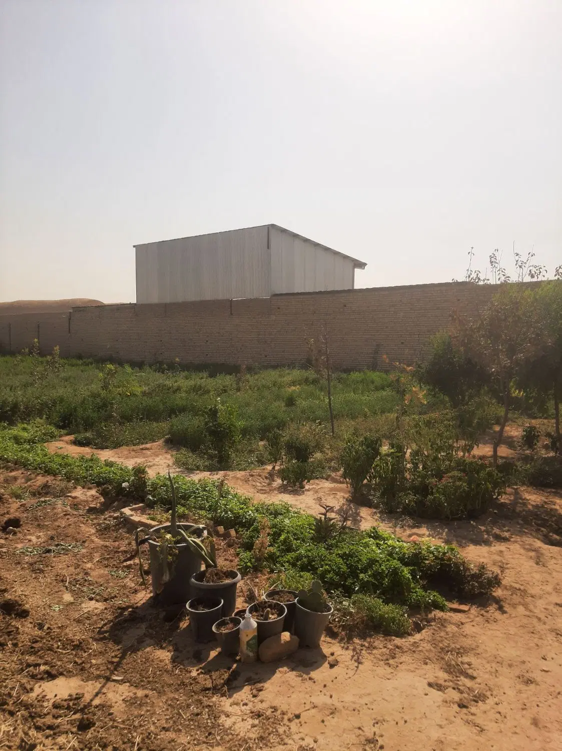 فروش باغ