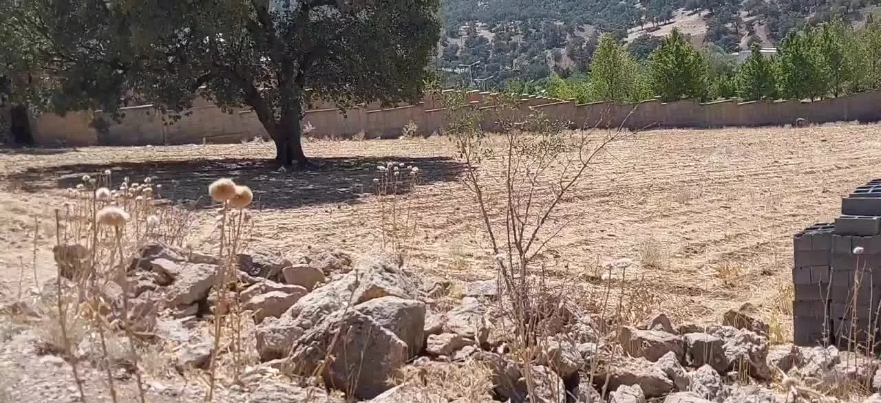 زمین باغ شهری