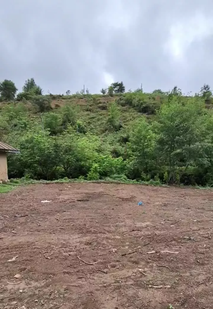 فروش زمین روستائی (مسکونی با نامه بنیاد مسکن)