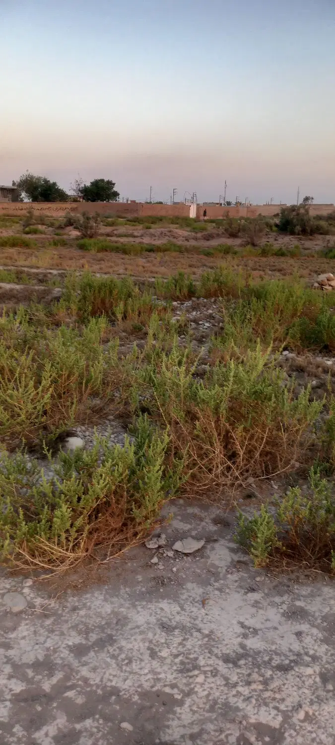 زمین واقع کوی گلدشت خیابان تراکتورسازی