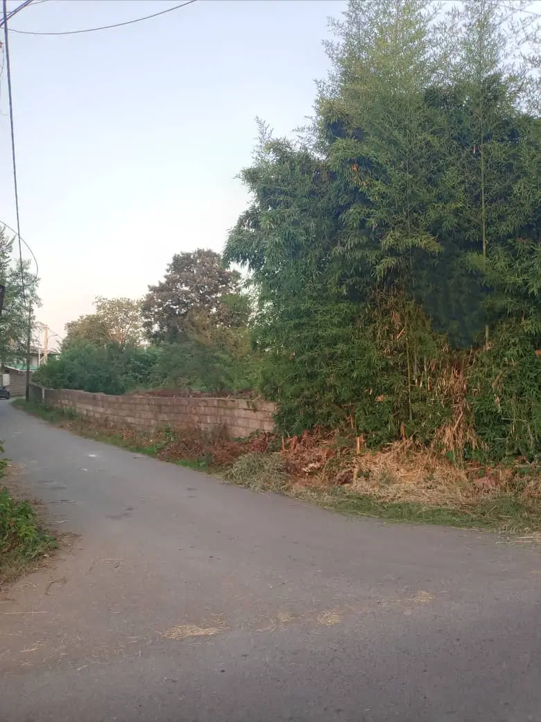 زمین مسکونی