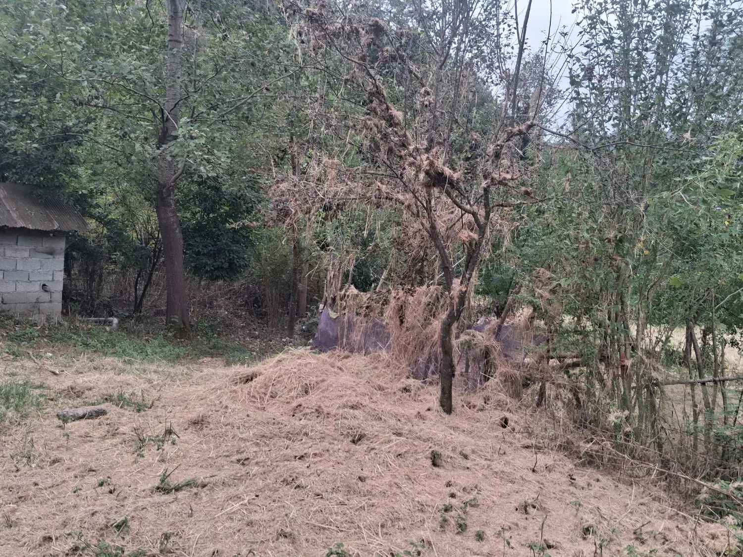 خانه کلنگی