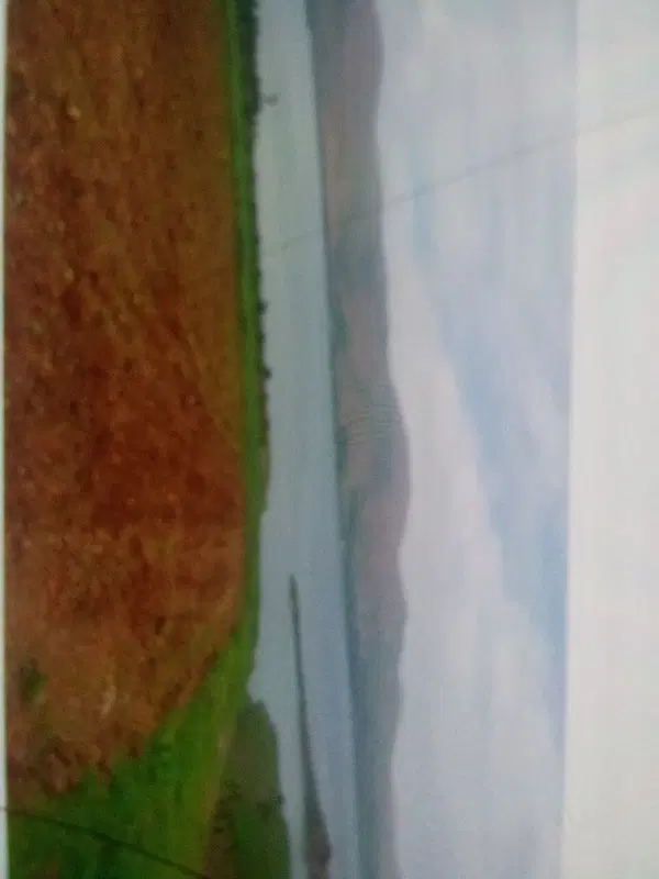 زمین کشاورزی