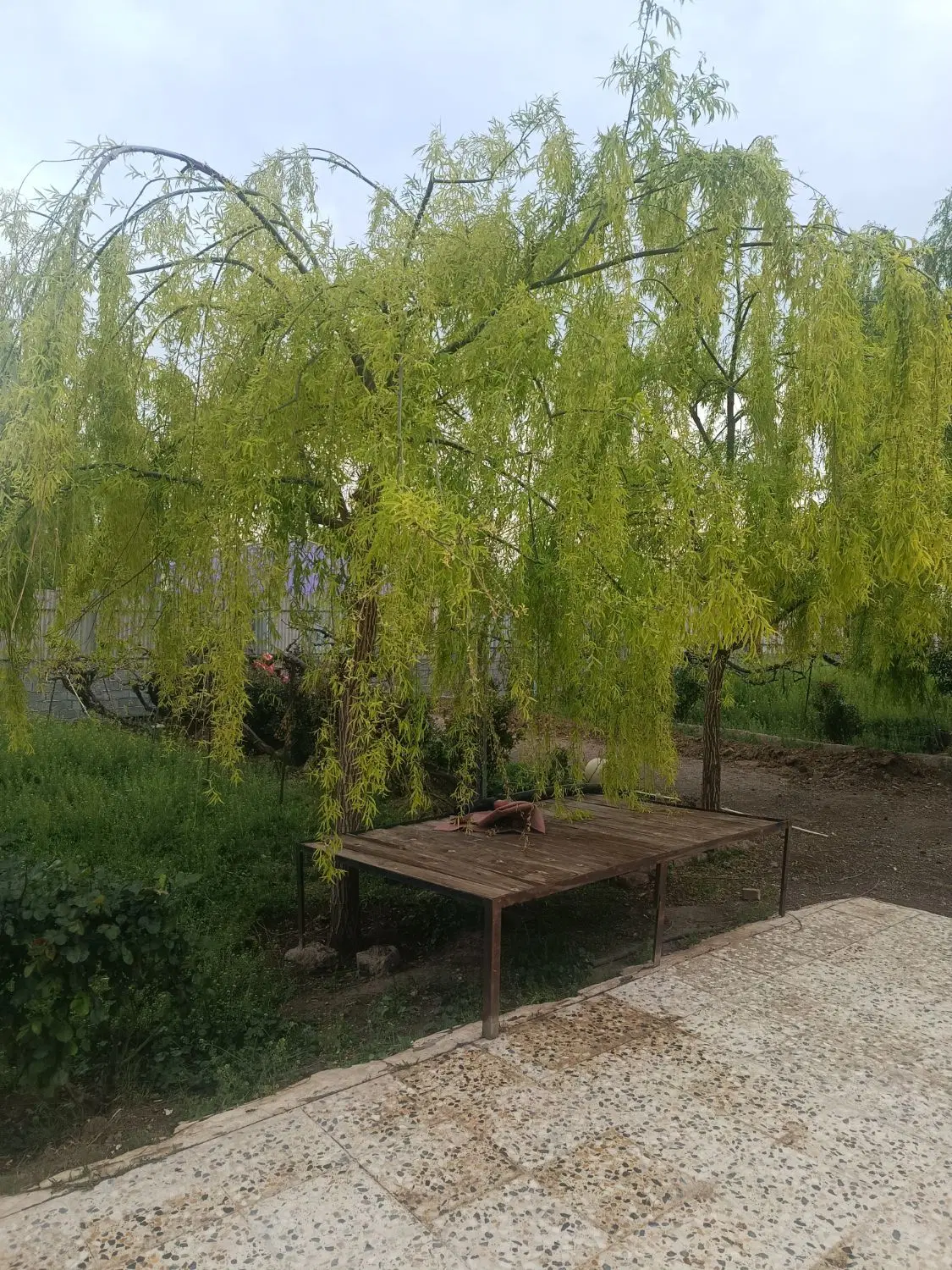 اجاره خانه  رایگان