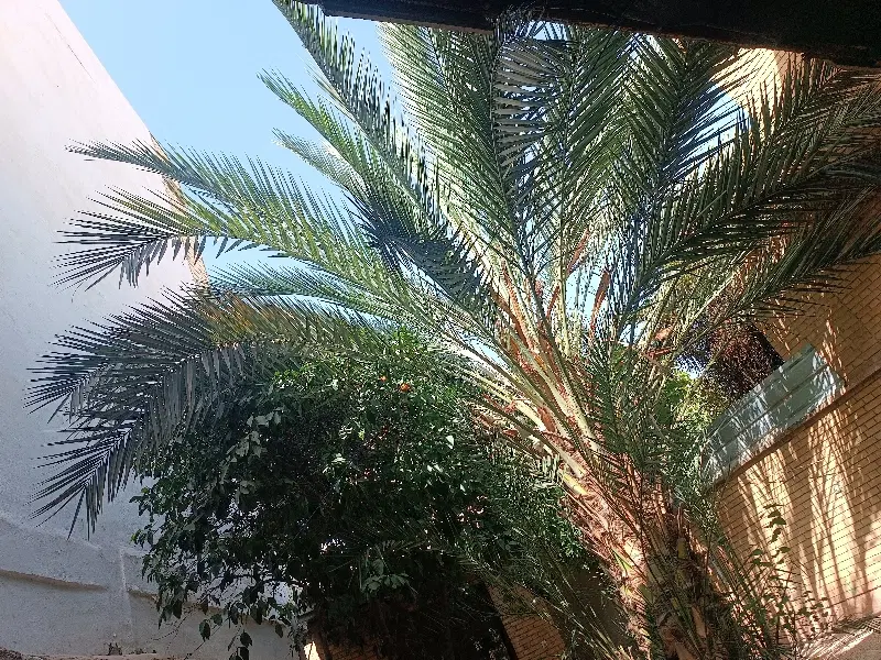 اجاره خوابگاه دخترانه خصوصی امن لوکیشن ساعت آزاد