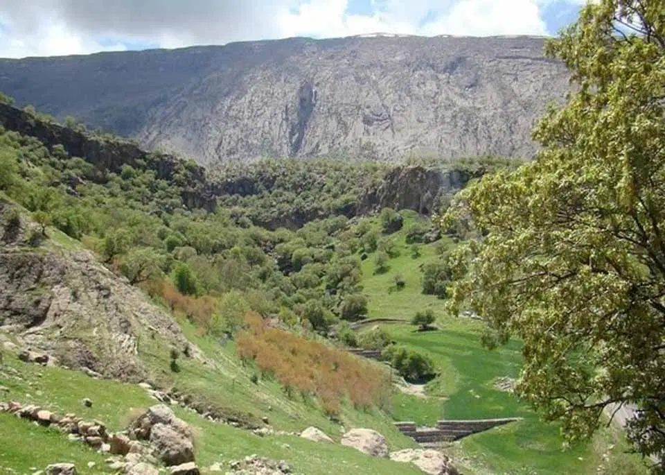 باغ گردو