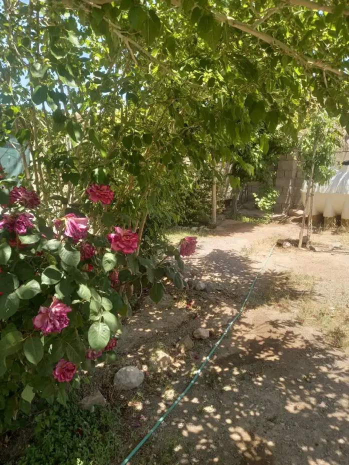 فروش خانه باغ داوران