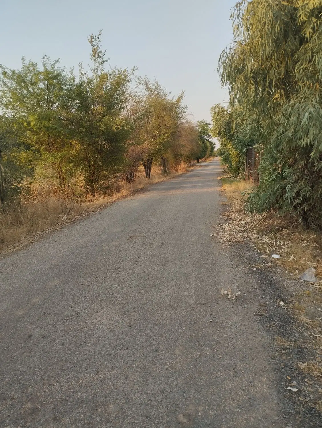 باغچه ۲ هزار متری..