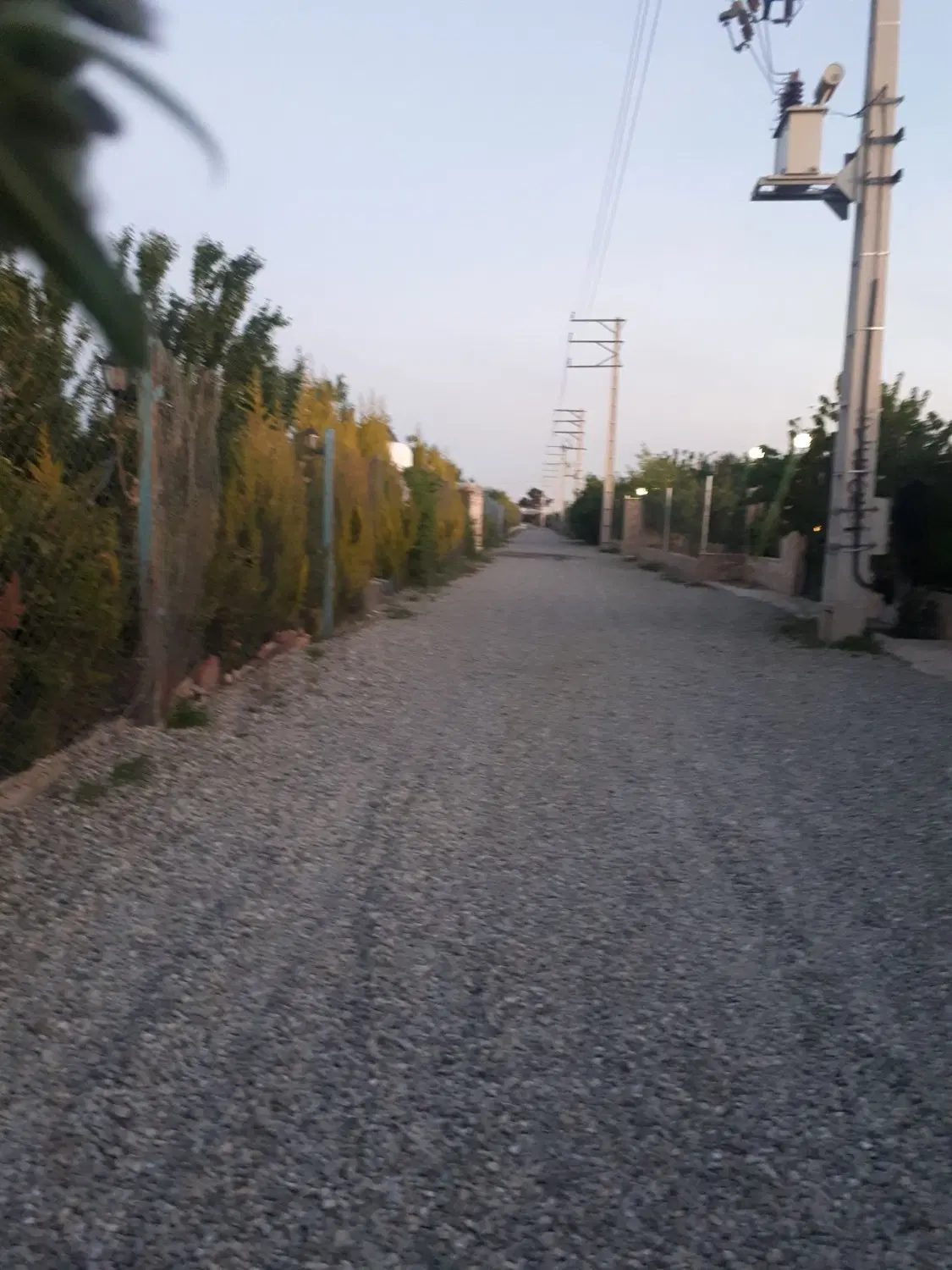فروش ی قطعه باغچه