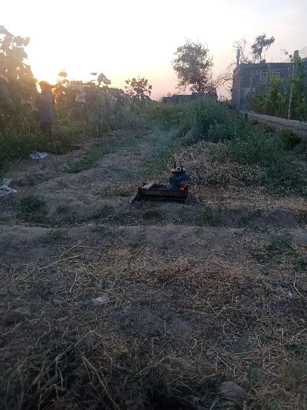 باغ 500 متری