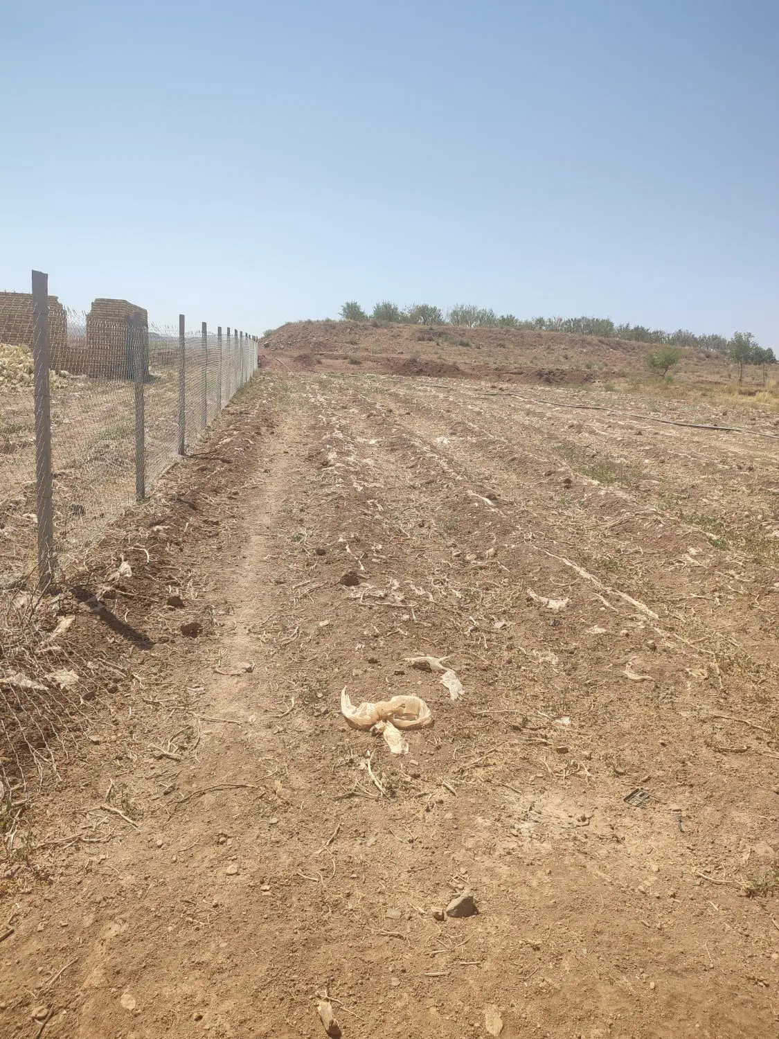 زمین با سند