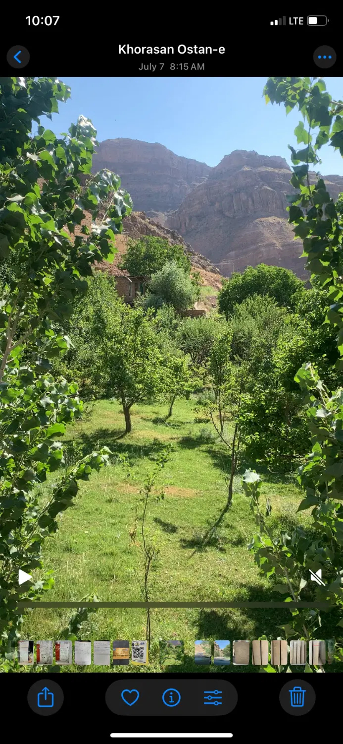 باغ ۵۰۰متری در رضویه