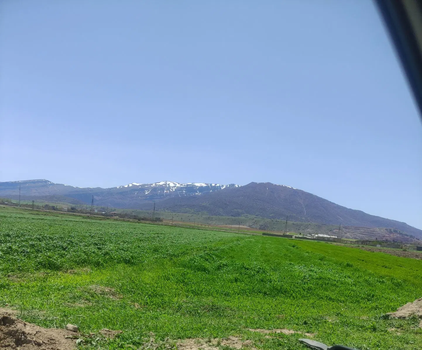 زمین کشاورزی
