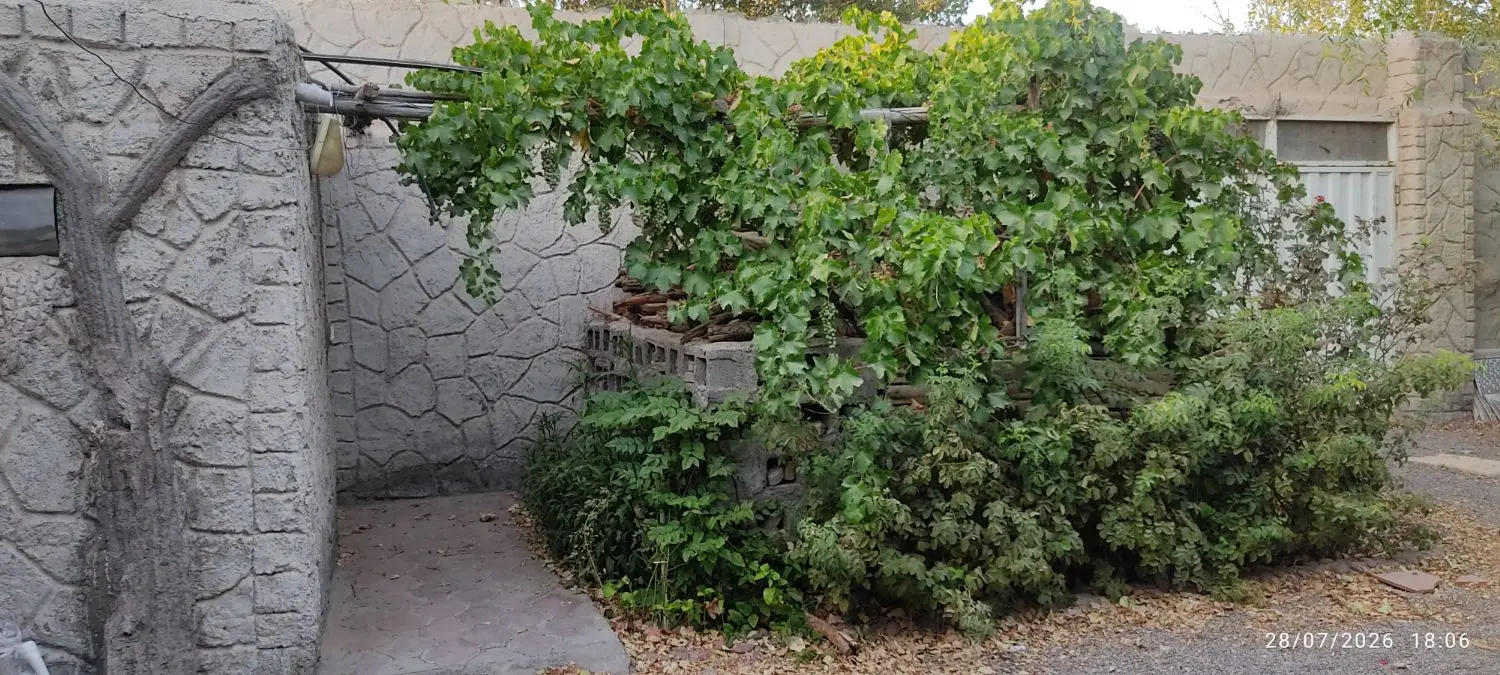 خانه باغ